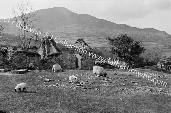 ABONDONED COTTAGE & SLIEVE FOY